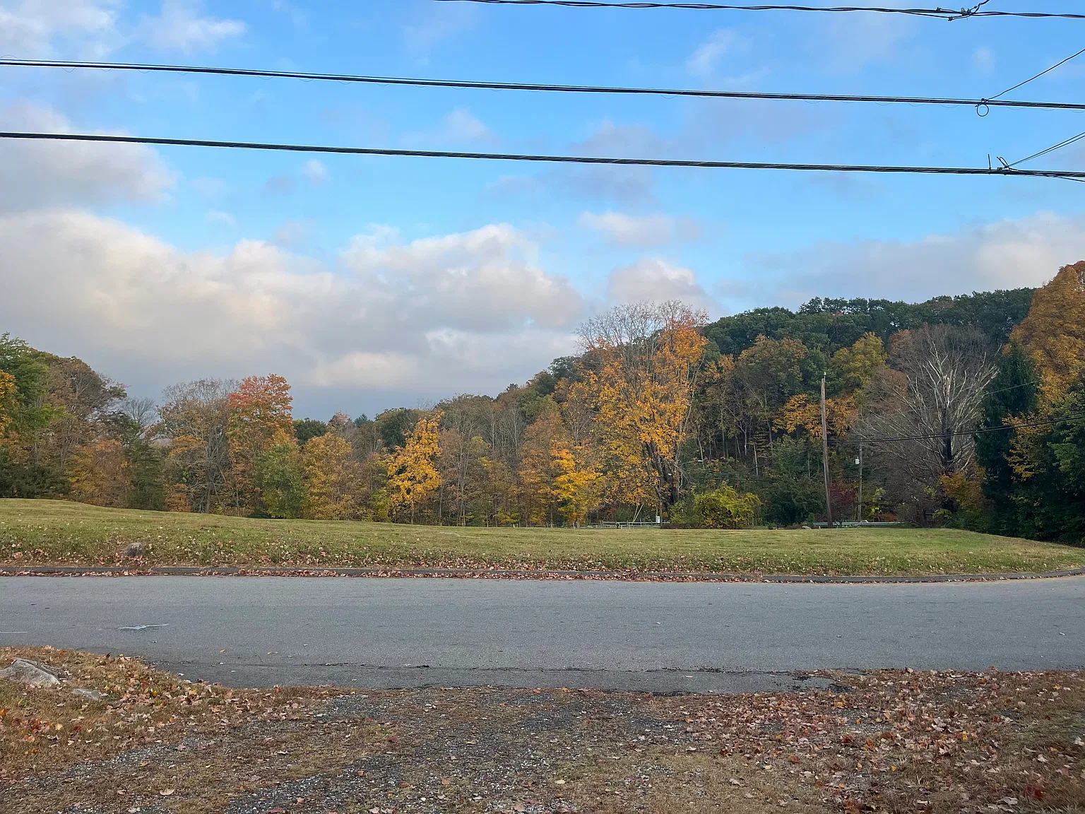 2 bed, 800 sqft, $2,200 — Photo 4