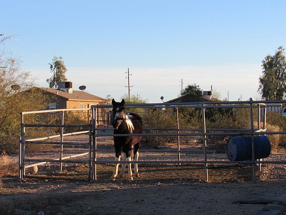 4th image of 1807 S 364th Ave