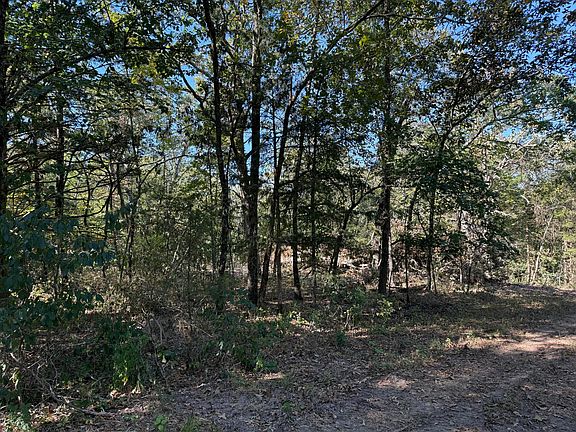 2nd image of 000 203 #County Road