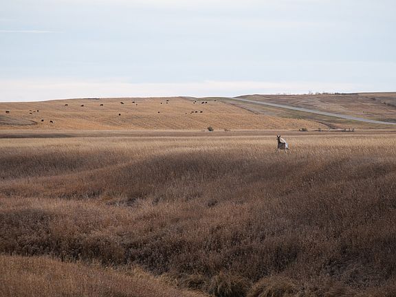 4th image of 1905 10th St NW