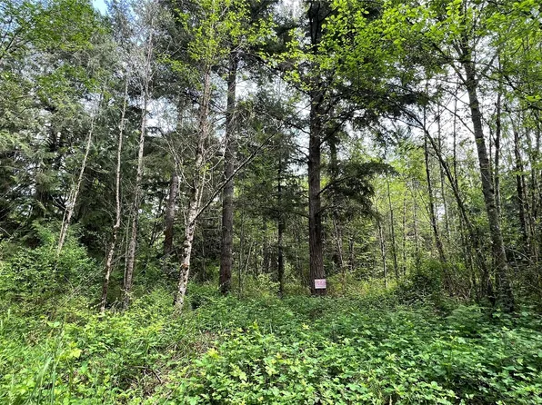 24517 120th Avenue E, Graham, WA 98338