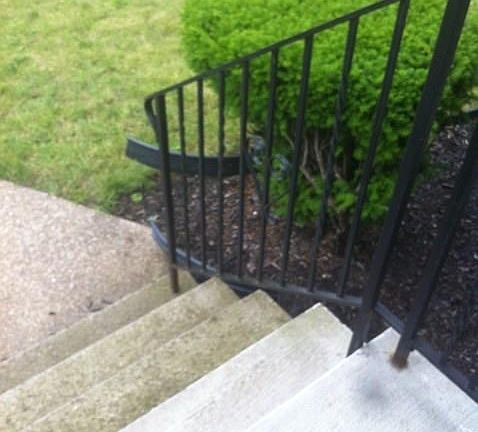 5th image of 367 Hastings Ave