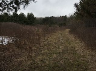 0 Mattoon Rd, Prattsburgh, NY 14873