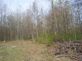 0 Scenic Rd, Vassar, MI 48768