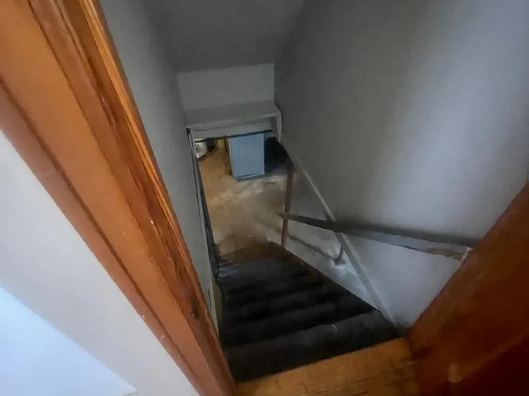 317 Wallace Dr — Photo 7