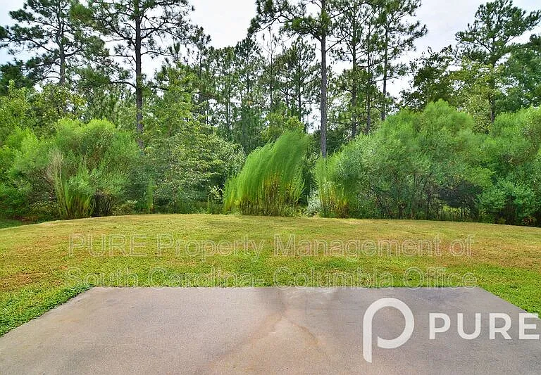 433 Drooping Leaf Rd — Photo 9