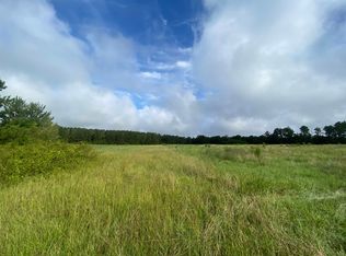 10AC Straughn School Rd, Dozier, AL 36028