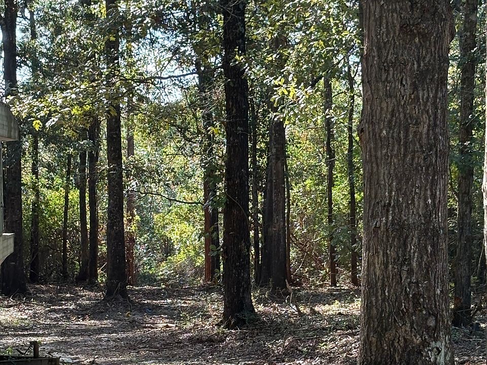 2nd image of 40703 County Road 39