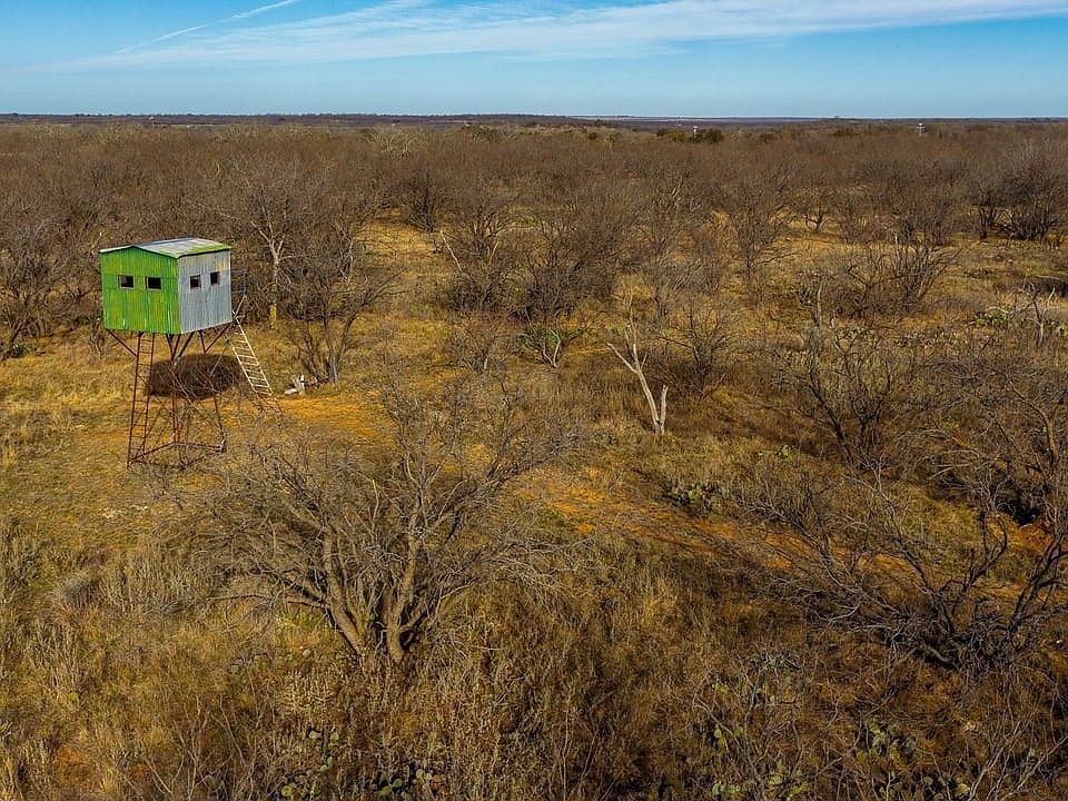 Dji 20260219091624 0779 D