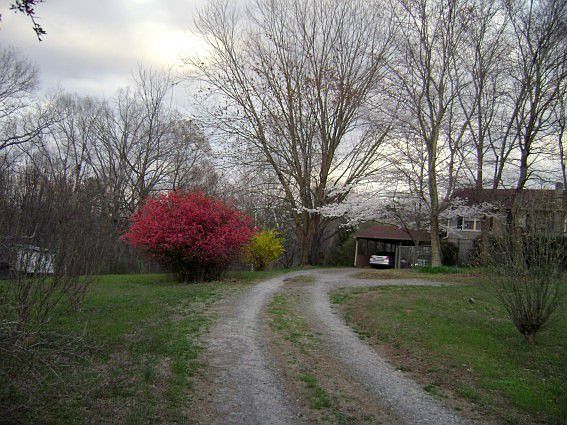 view carport from driveway