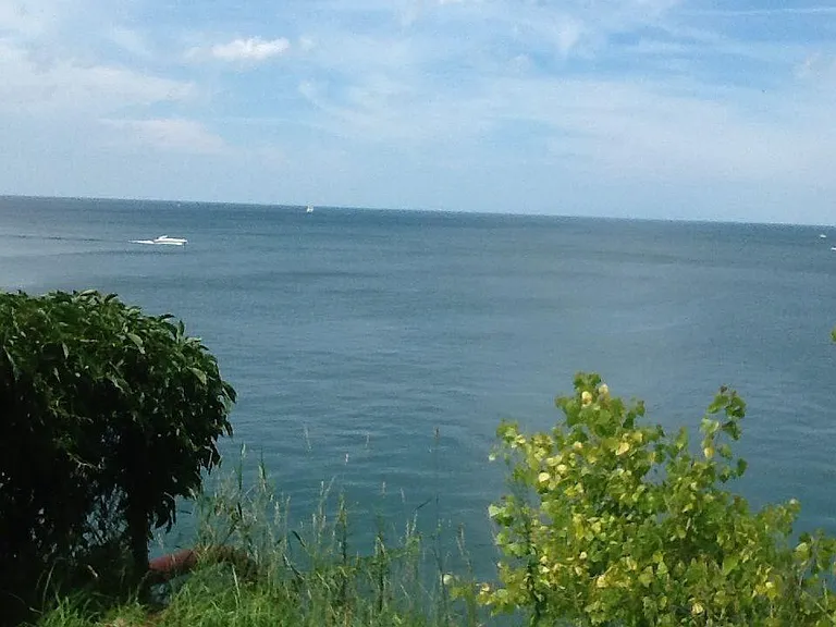 Rooftop Lake View