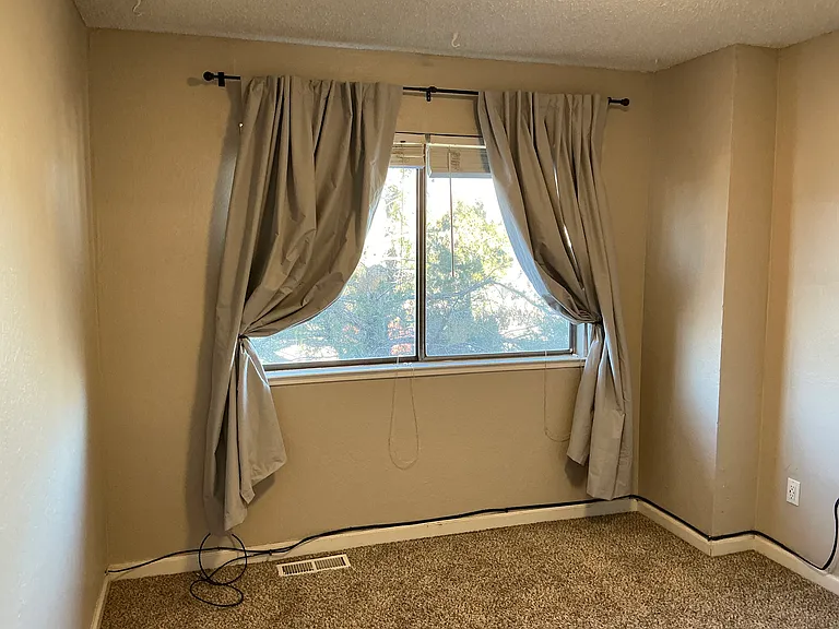 3142 Bristle Branch Dr #3142 — Photo 11