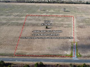 7 Spring Plains Rd, Cross, SC 29436