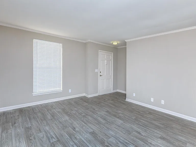 Colony House — Photo 30