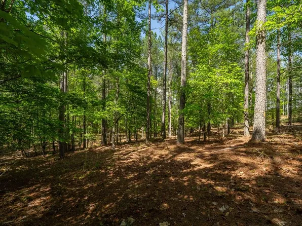 LOT 132 Sandy Lake Ln, Blairsville, GA 30512