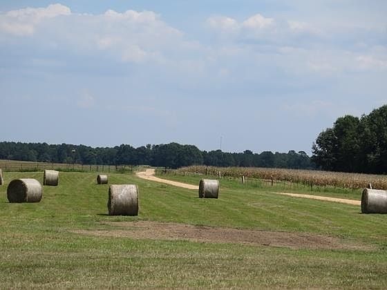 4th image of 148 County Road 2020