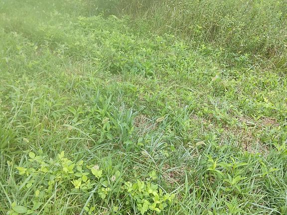 2nd image of 13671395 Mount Carmel Rd