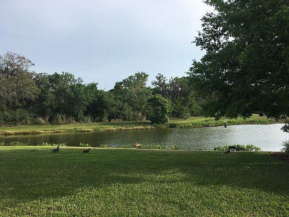 Enjoy the view and wildlife