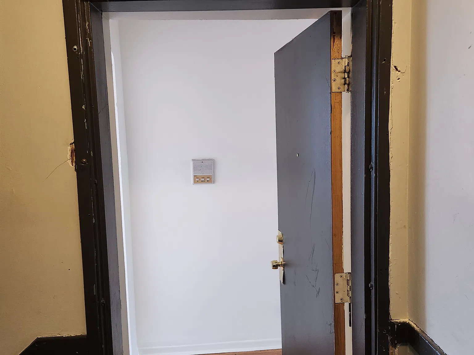 2 bed, 875 sqft, $1,275 — Photo 2