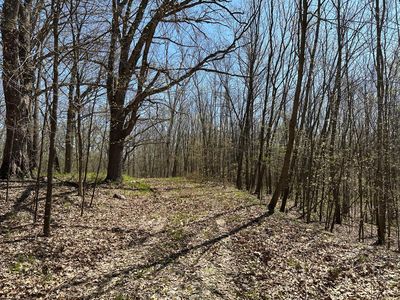 Holly Trl, Ogilvie, MN, 56358