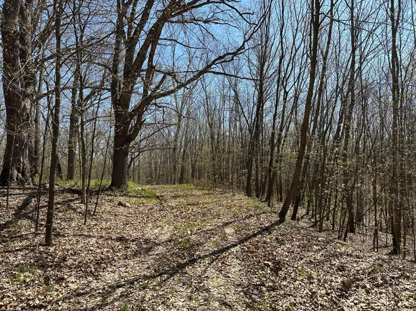 Holly Trl, Ogilvie, MN 56358