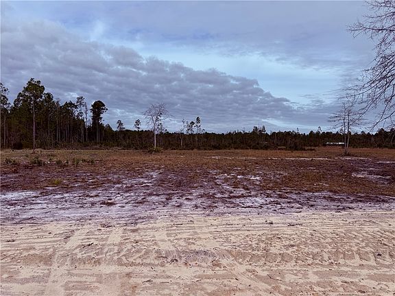 3rd image of 10 Wiregrass Ln