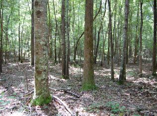 0 Bishop Rd, Thomaston, GA 30286