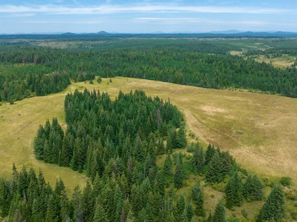 1605 Jasmine Ln Parcel 3, Weippe, ID 83553