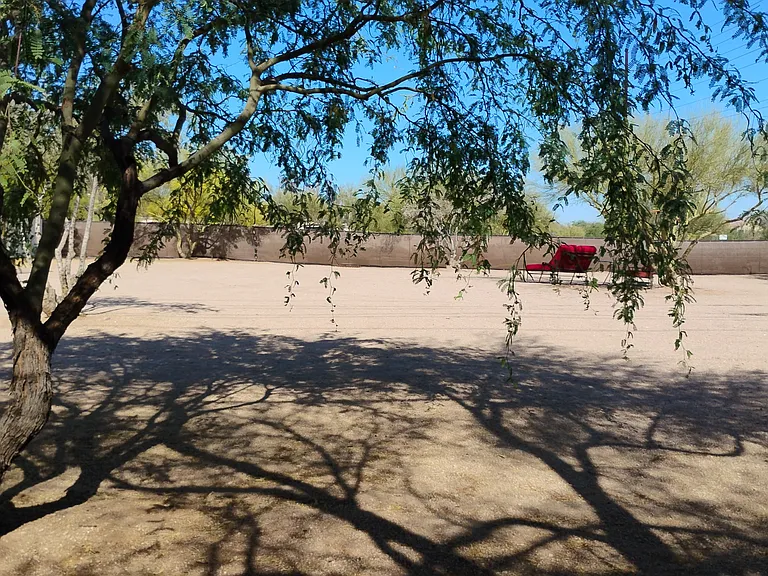 6610 E Dixileta Dr — Photo 17