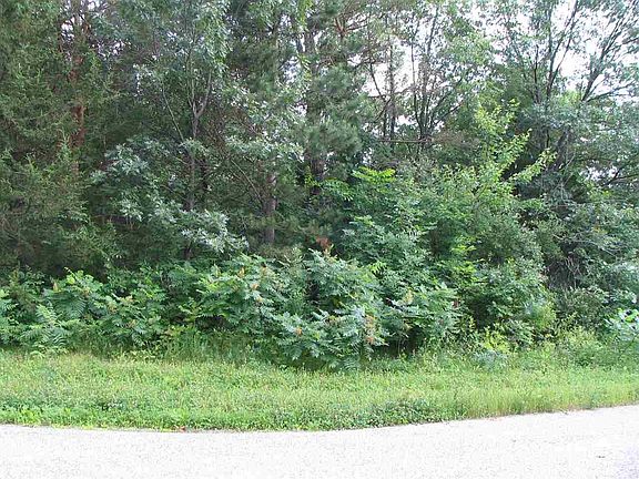 4th image of L12 & L13 Tofson Dr