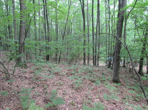 W8109 Kafka Rd, Wausaukee, WI 54177