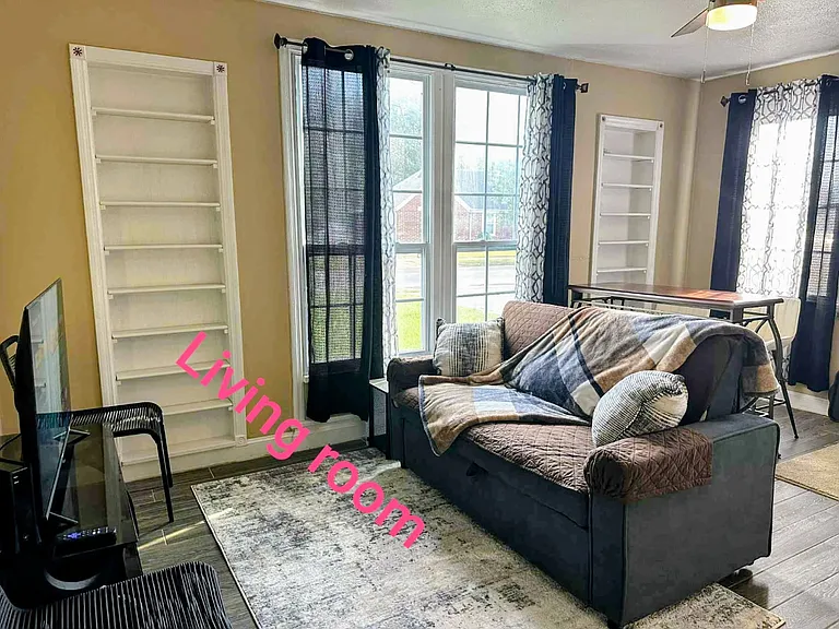 Couch, pillows, blanket, couch protector, Roku Smart TV