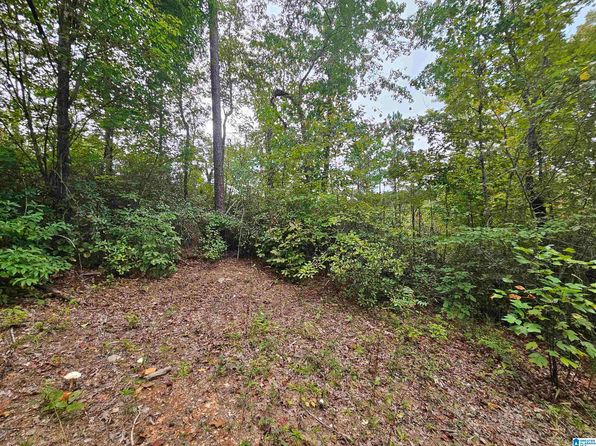 525 County Road 260
