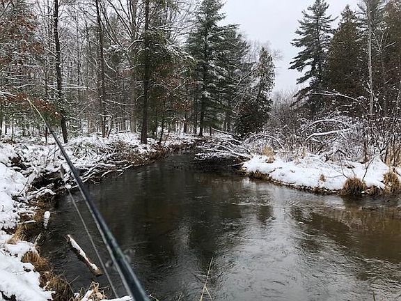 5th image of 9240 W River Rd