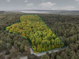 0 S Golden Valley Dr, Empire, MI 49630