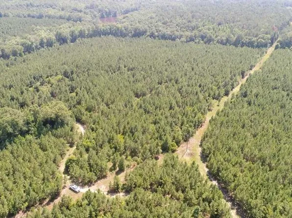 N Carter Rd, Luverne, AL 36049