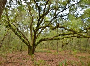 275 Beecher Springs Rd, Welaka, FL 32193