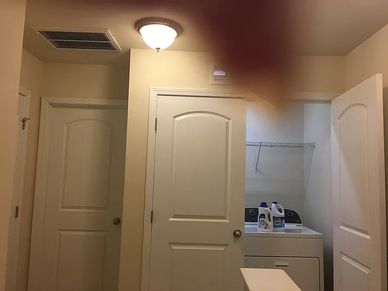 Entrance to Bedroom #2 and Linen closet to left