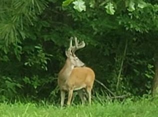 1 Cox Hollow Rd, Dover, TN 37058