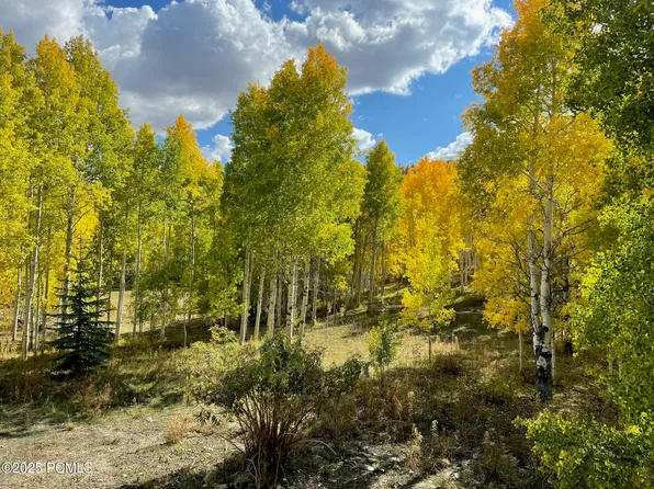 3954 S Blue Spruce Dr, Heber, UT 84032