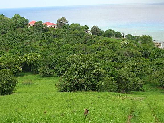 2nd image of Estate Prospect Hill