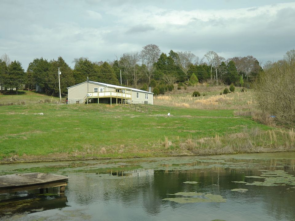 View from pond