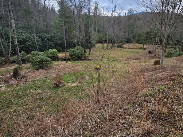 TBD E Laurel Springs Drive, Newland, NC 28657