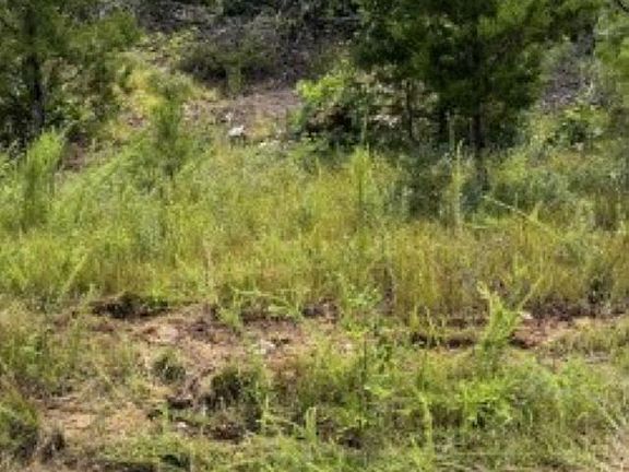 4th image of 7 County Road 868