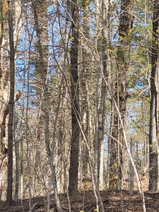 921 Coppermine Road, Corinth, VT, 05039