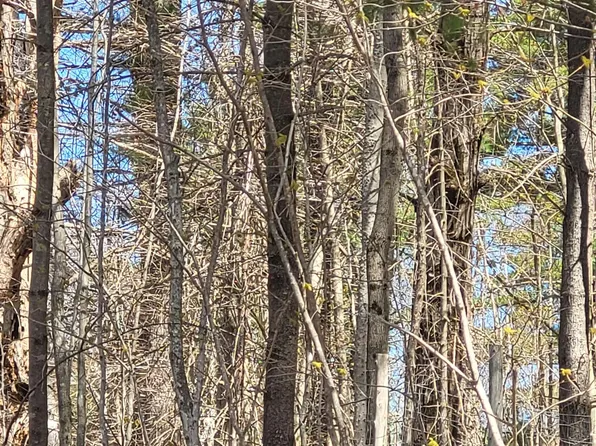 921 Coppermine Road, Corinth, VT 05039