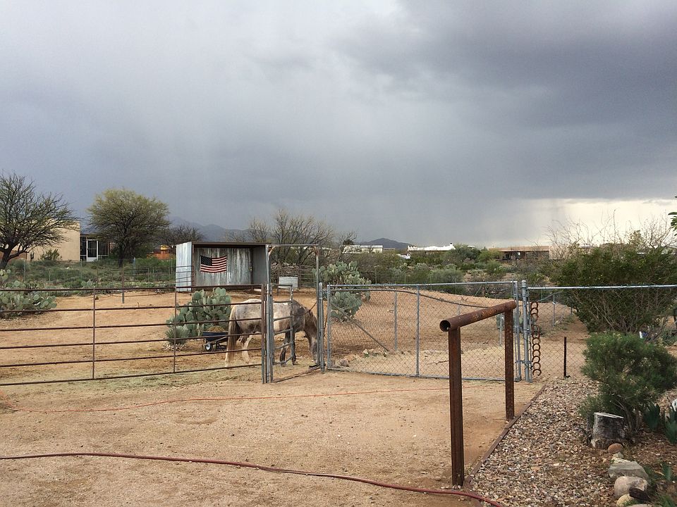 Horse Corral