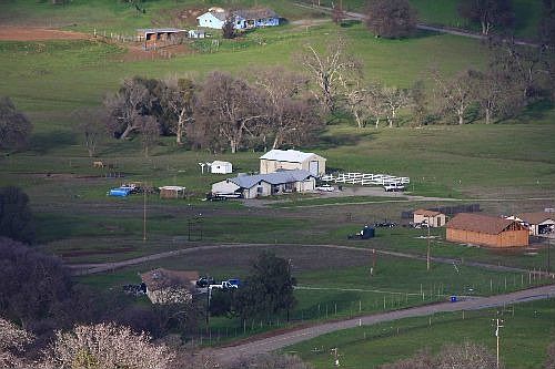 View from Seminol Rd