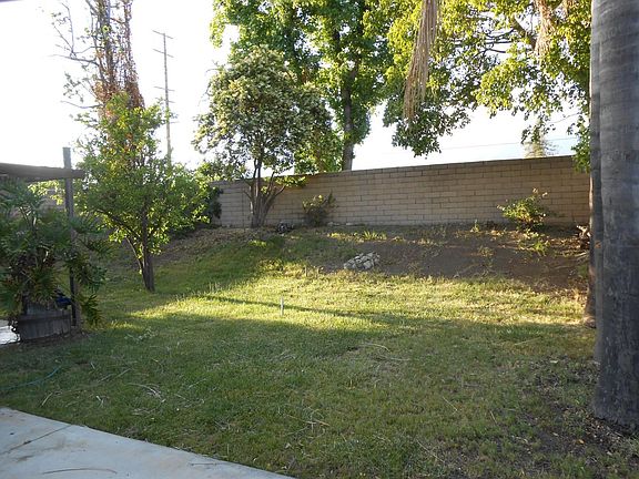 Back yard toward patio