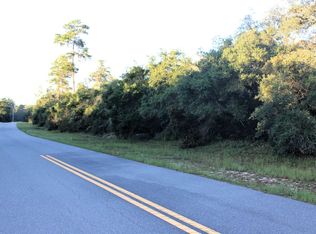 SW 176th Loop, Ocala, FL 34473